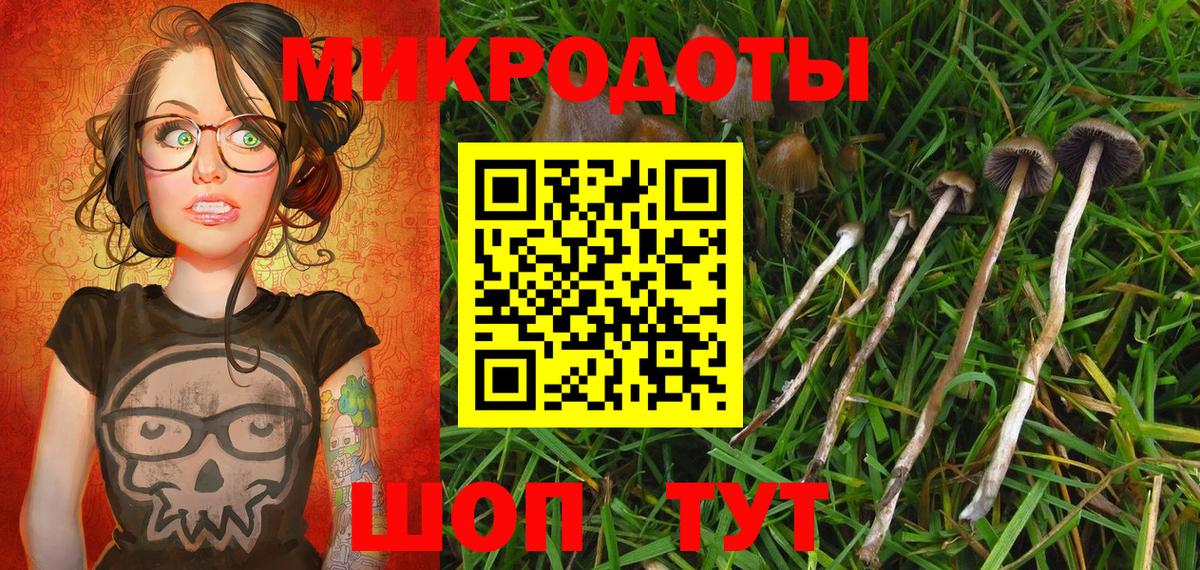 Псилоцибиновые грибы мухоморы  Вход с VPN  купить наркоту  Ангарск 