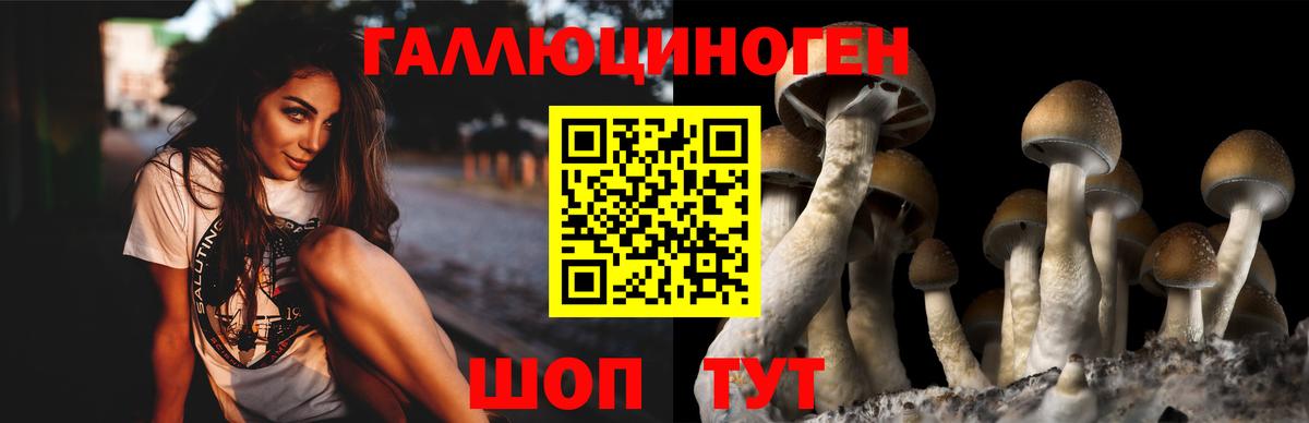 Галлюциногенные грибы мицелий Ангарск
